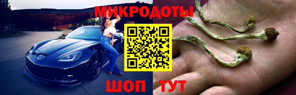 Галлюциногенные грибы Cubensis Менделеевск