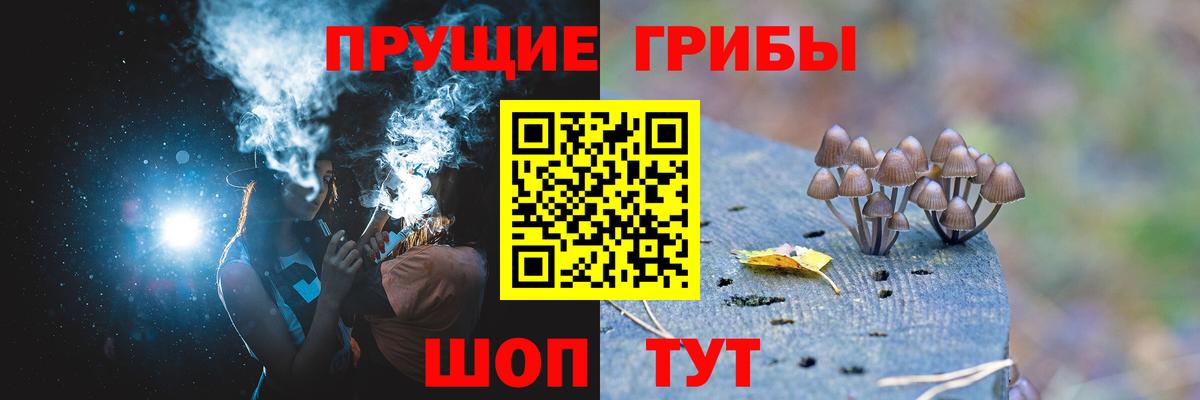 Менделеевск  Галлюциногенные грибы прущие грибы  Вход с VPN 